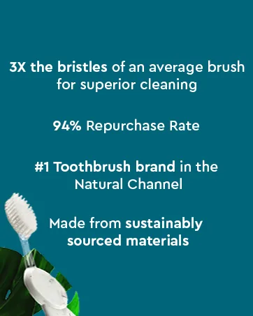 RADIUS Toothbrush Big Brush with Replaceable Brush Head BPA Free ADA Accepted - Right Hand - Purple Brush with Purple Case - RADIUS BRand Story