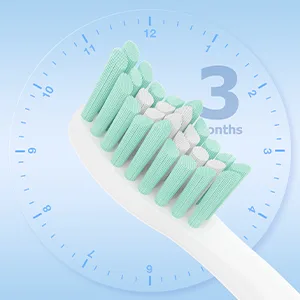 Electric Toothbrush Replacement Heads Compatible with Philips Sonicare Screw-on E-Series Electric Rechargeable Toothbrush Precision Clean Toothbrush Heads Refills 6 Pack Blue - product information 6