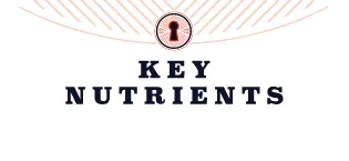 KEY NUTRIENTS Electrolytes Powder Packets - Delicious Blue Raspberry 20 Pack Hydration Packets - Travel Hydration Powder - No Sugar No Calories Gluten Free - Made in USA Blue Raspberry 20 Servings - Key Nutrients