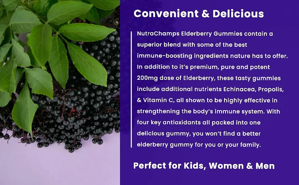 Elderberry Gummies | Sambucus Elderberry Gummies for Adults & Kids | Vitamin C Propolis & Echinacea | Max Strength Immune Support Gummies | Natural Berry Flavor | 120 Gummies (2 Pack) - elderberry gummies sambucus immune support gummy supplement