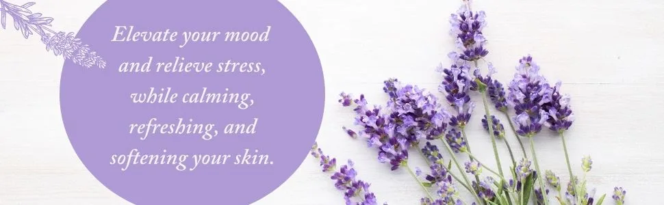 Dr. Woods Pure Relaxing Lavender Liquid Castile Soap 32 Ounce (Pack of 2) - product information 31