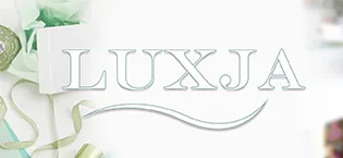 LUXJA Carrying Case Compatible with Cricut Joy and Easy Press Mini Carrying Bag with Supplies Storage Sections Purple - luxja