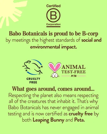 Babo Botanicals Sheer Zinc Continuous Spray Sunscreen SPF 30 with 100% Mineral Active Unscented 12 Fl Oz (Pack of 2) - babo