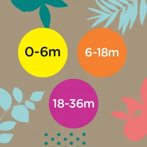 Tommee Tippee Moda Pacifiers Symmetrical Design BPA-Free Silicone Binkies 0-6m 2-Count - image