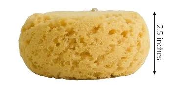 Evriholder Foam Body Sponge for Exfoliating Large Scrubber for a Relaxing Shower or Bath Pack of 2 2 Pack - natural sea foam sponge body face exfoliate