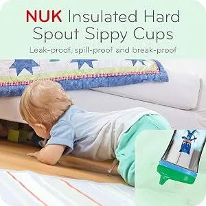 NUK Insulated Hard Spout Sippy Cup PJ Masks 9 oz 2-Pack Sippy Cup (Hurray) - product information 3
