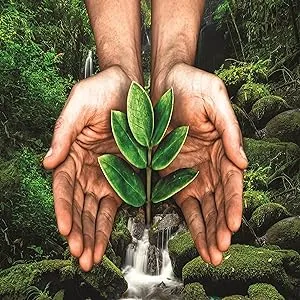 Live Clean Liquid Hand Soap Fresh Water 17 Oz (Packaging May Vary) - About Live Clean