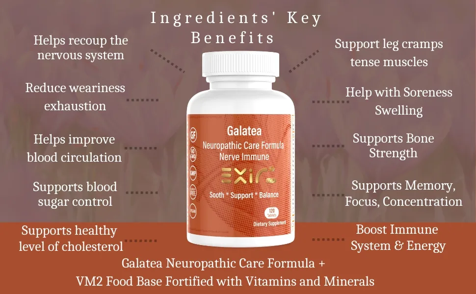 EXIR Galatea | Nerve Joint Support Supplement with B-Complex Vitamins 120 Tablets 1 Count (Pack of 1) - Ingredients key benefits of Galatea dietary supplement