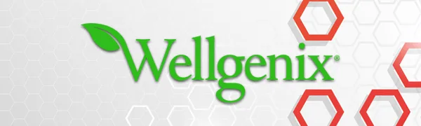 Wellgenix Omni Quick Flush Detox Pills - Extra Strength Cleansing - Toxin Rid Cleanser (4 Fast Caps) (1 Pack) - Wellgenix