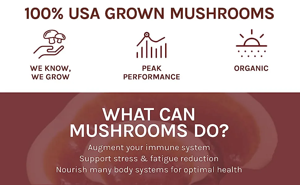 Host Defense Reishi Extract Supports General Wellness and Vitality Mushroom Supplement Plain 1 fl oz 1 Fl Oz (Pack of 1) - product information 3