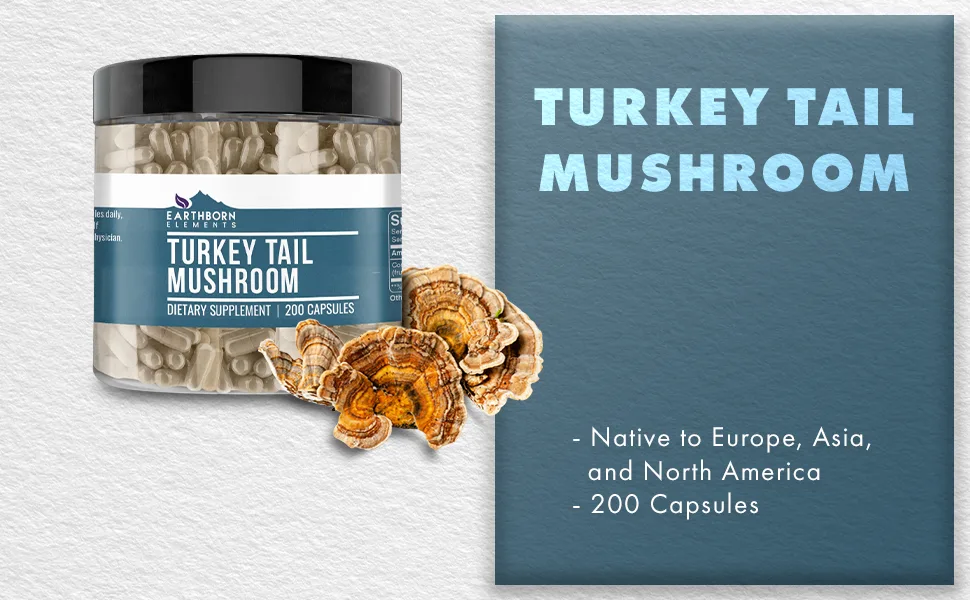 Earthborn Elements Turkey Tail Mushroom 200 Capsules Pure & Undiluted No Additives 200 Count (Pack of 1) - Earthborn Elements Turkey Tail Mushroom 200 Capsules, Pure & Undiluted, No Additives