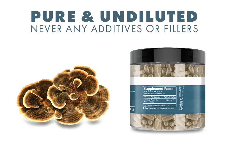 Earthborn Elements Turkey Tail Mushroom 200 Capsules Pure & Undiluted No Additives 200 Count (Pack of 1) - Earthborn Elements Turkey Tail Mushroom 200 Capsules, Pure & Undiluted, No Additives