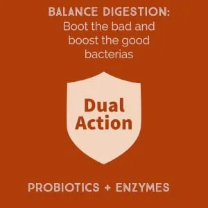 New Bacillus B3 Probiotic Complex & Bioactive Enzymes 100% Spore-Based Organisms - SBO - Better Survivability - B Coagulans B Subtilis & B Clausii - Non GMO - 60 Capsules Pack of 1 - boost the good bacteria and flush the bad bacteria