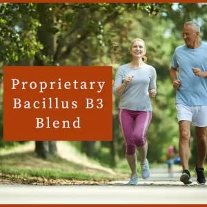 New Bacillus B3 Probiotic Complex & Bioactive Enzymes 100% Spore-Based Organisms - SBO - Better Survivability - B Coagulans B Subtilis & B Clausii - Non GMO - 60 Capsules Pack of 1 - proprietary Bacillus Blend unique digestive enzymes