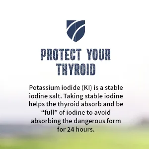 New Roots Herbal Potassium Iodide 65 mg KI Supplement | 60 Tablets for Thyroid Support | Iodine - YODO Naciente 60 Count (Pack of 1) - Protect your thyroid