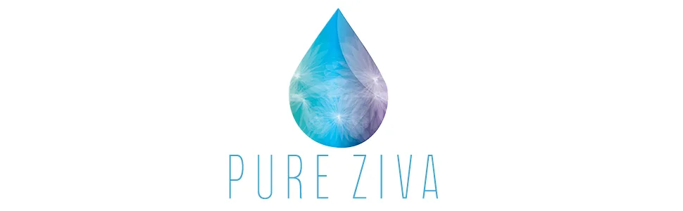 Pure Ziva Counterfeit Shimmering Deep Forest Green Blue Grey Pressed Powder Single Vegan Eyeshadow Talc Paraben & Cruelty Free - Pure Ziva Logo White Background