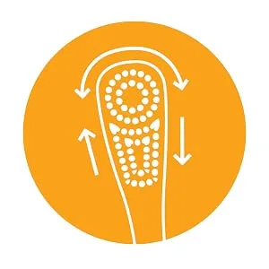 ARM & HAMMER Spinbrush Pro-Clean Replacement Brush Heads Medium 2 ea (Pack of 3) - product information 4
