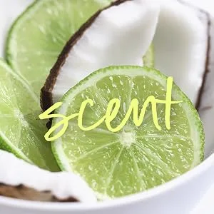 Tree Hut Shea Sugar Scrub Coconut Lime 18 Ounce (Pack of 3) Coconut Lime 1.125 Pound (Pack of 3) - Tree Hut coconut lime Sugar Scrub Scent