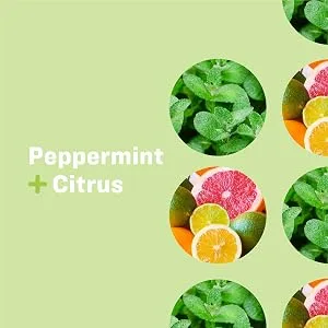 Everyone for Every Body Hand Sanitizer Spray: Peppermint and Citrus Travel Size 2 Ounce 6 Count - Peppermint and Citrus