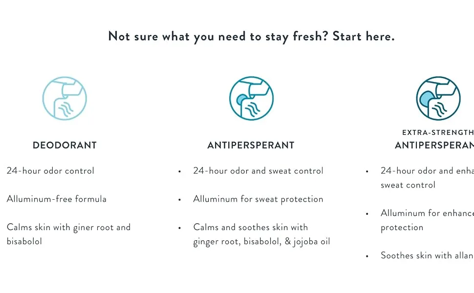 Harry's Deodorant & Antiperspirant - Odor & Sweat Control Antiperspirant for Men - Stone (6 Count) Antiperspirant Stone - Stay Fresh