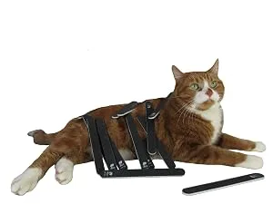 Nail Files 100 180 Grit for Gel Acrylic Poly Nails Double Sided Emery Board Coarse Black Washable Professional Set Manicure Tools (12 Pack) by JPACO - approved by Cats!