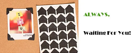 Pulaisen 360 Count Self-Adhesive Acid Free Photo Corners Scrapbooks Memory Books Black - product information 1