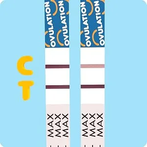 Pregmate 100 Ovulation Test Strips with Numerical LH Result Quantitative Predictor Kit (100 Count) - Positive: If two lines are visible and the test line is equal to or darker than the control line.