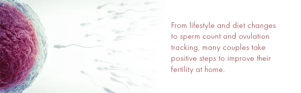 FertilMARQ Fertility Home Sperm Test Kit for Men | Indicates Normal or Low Sperm Count | Convenient Accurate and Private | Easy to Read Results - Home sperm count test
