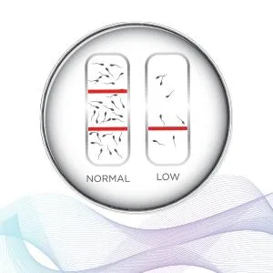 FertilMARQ Fertility Home Sperm Test Kit for Men | Indicates Normal or Low Sperm Count | Convenient Accurate and Private | Easy to Read Results - Sperm count