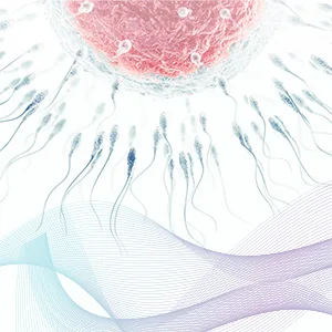 FertilMARQ Fertility Home Sperm Test Kit for Men | Indicates Normal or Low Sperm Count | Convenient Accurate and Private | Easy to Read Results - sperm volume