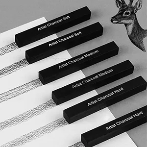 ANNECOSK 6 Pack Compressed-Charcoal-Sticks Vine Charcoal Sticks for Drawing Sketching Shading Art Supplies Sketch Kits Tools Soft Medium and Hard Grade 6Pack charcoal stick - Compressed charcoal stick