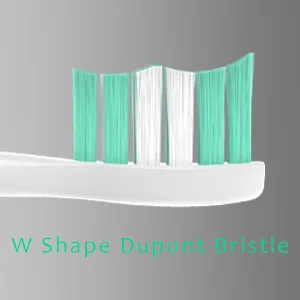 Gypoirul Toothbrush Replacement Heads Compatible with Philips Sonicare 10 Pack Electric Brush Head for 4100 5100 6100 HX9023 W Optimal Plaque Control Green - DuPoint 300x300