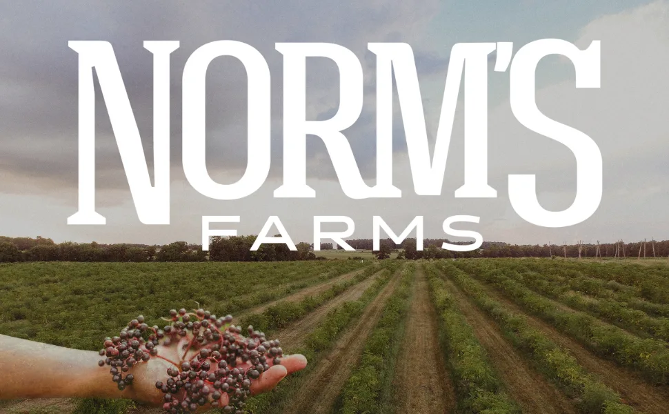 Norm's Farms American Elderberry Extract - Pure Concentrate for Immune Support Made with Berries - Vegan Gluten Free Non-GMO - 2 8 Oz. Bottles 2 Pack - Norm