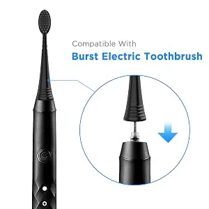 Replacement Toothbrush Heads for Burst (Charcoal Bristles 4 Count Black with Covers) Black (4 Count) - burst toothbrush heads