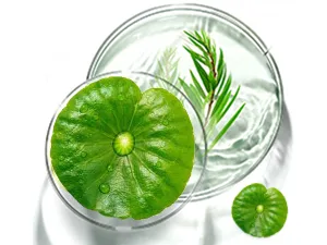 LitBear Acne Patch Pimple Patch 6 Colors Star Shaped Acne Absorbing Cover Patch Hydrocolloid Acne Patches For Face Zit Patch Acne Dots Tea Tree Oil + Centella Oil 168 Count - acne patches for face