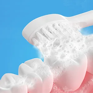 Replacement Flossing Toothbrush Heads for Water Pick SF-01 / SF-02 / SF-03 / SF-04 with Crystal Cap- Compact - 3 Count - White - product information 2
