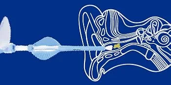 Bionix - Lighted Forceps Foreign Object Removal Tool Helps Remove Foreign Objects from Nose & Ear Canal Convenient Easy to Use Ideal for Healthcare Professionals (10 Count) - Lighted forceps