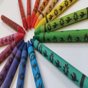 Trail maker 12 Pack Crayons - Wholesale Bright Wax Coloring Crayons in Bulk 10 Per Box 12 Box Bundle Art Set - crayons in bulk for kids 24 pack 64 8 small crayon packs party favors for adult coloring therapy boy