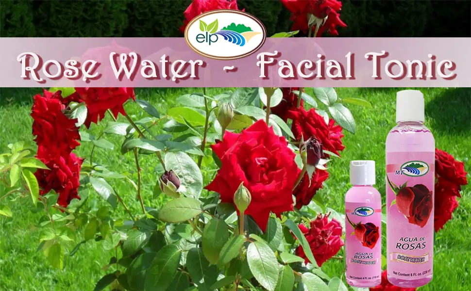 Agua De Rosas 8 Oz. Rose Water Facial Toner 3-Pack - rose