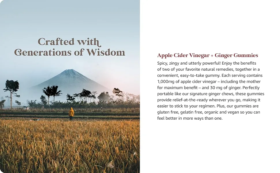 Chimes Apple Cider Vinegar Gummies + Ginger Organic ACV Gummies (USA Made 1 000mg & 60mg Ginger per 2-Gummies) ACV w/Mother Ginger Gummies - 60 Count - apple cider vinegar gummies