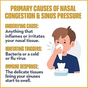 Mucinex Maximum Strength Sinus-Max (Day) Pressure Pain & Cough & Nightshift (Night) Sinus Caplets Fast Release Powerful Multi-Symptom Relief 40 caplets (24 Day time + 16 Night time) (Pack of 2) - nasal congestion