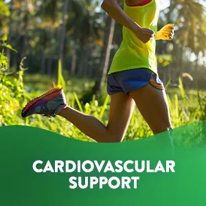 Nutrivein Bergamot Extract 1300 mg 25:1 - 120 Capsules - Cardiovascular Support