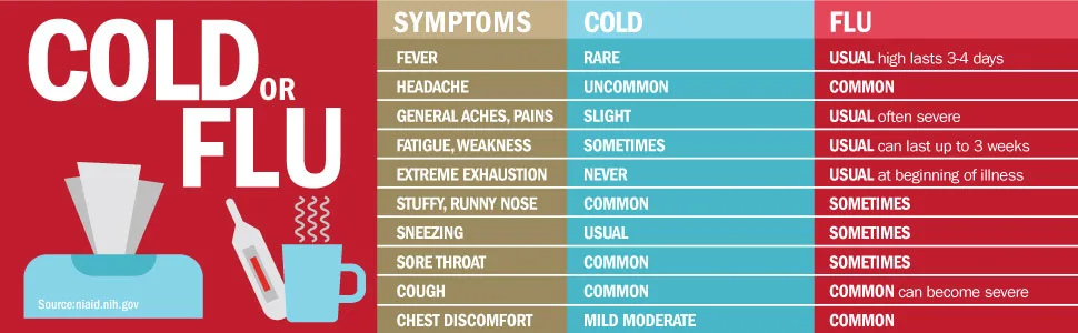 GoodSense Nighttime Cold and Flu Relief Cherry Flavor Cold and Flu Liquid 12 Fl Oz (Pack of 1) Cherry 12 Fl Oz (Pack of 1) - Cold or flu
