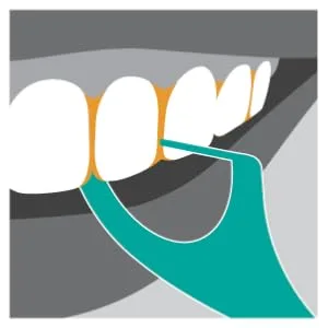 DenTek Wax for Braces (Pack of 24) - product information 5