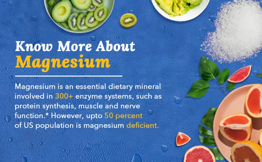 Terranics Magnesium Complex Total 240 Capsules Max Absorption Glycinate Citrate Malate Aspartate Gluconate Support Heart Mood Sleep Muscle Health - Terranics Magnesium Complex helps muscle and nerve function, blood pressure health*