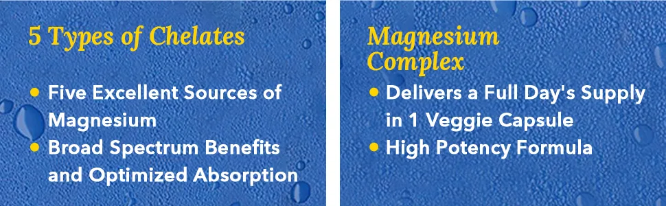 Terranics Magnesium Complex Total 240 Capsules Max Absorption Glycinate Citrate Malate Aspartate Gluconate Support Heart Mood Sleep Muscle Health - Terranics Magnesium Complex packs 5 types of chelates and 500 mg magnesium.