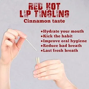 5 Pack Flavor Toothpicks Ultimate Strong Mix Flavor 60 Picks Total Count Great Infused Flavored Toothpick Keto Friendly Combo Pack - Red Hot Cinnamon Tatse
