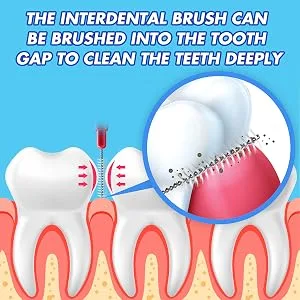 Interdental Brush Flossing Head Easy Use Tooth Cleaning Tool (72 Count)(2.5mm/3mm) 1Pack(2.5mm/3mm)-72pcs - product information 3