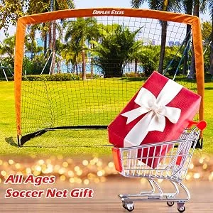 Dimples Excel Soccer Goal Soccer Net for Kids Backyard 1 Pack 5' x 3'6" - soccer goal