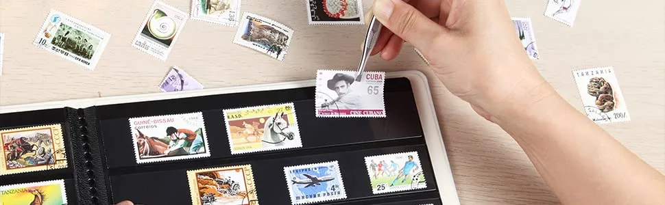 MUDOR Vario Stamp Pages for Stamp Album Binder 10 Sheet (20 Page) 1 Row Pages for Stamp Collectors Professional Pack (1 Row) - stamp book